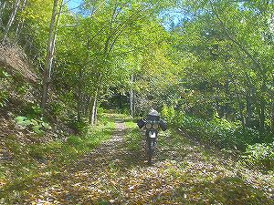 �Ηy�ѓ�4�^ORR