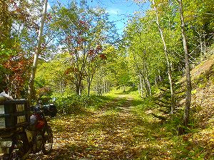 �Ηy�ѓ�5�^ORR