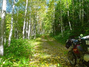 �Ηy�ѓ�6�^ORR