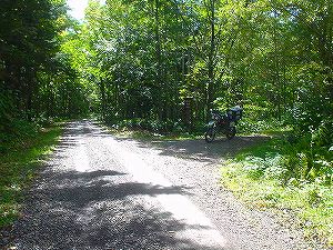 �Ηy�ѓ�7�^ORR