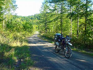 ��m�I�u���q�ԓ��H(�u�I��)2�^ORR