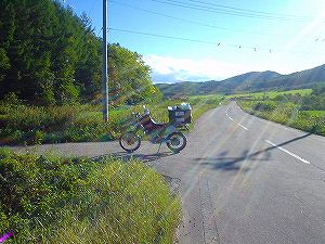 �ۗւ̑�ѓ�1�^ORR