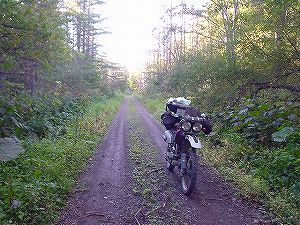 �ۗւ̑�ѓ�2�^ORR