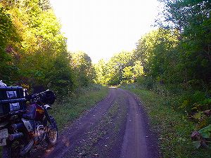 �ۗւ̑�ѓ�3�^ORR