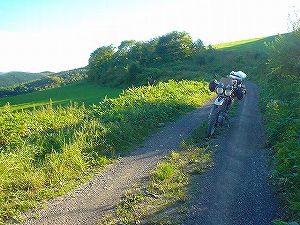 �ۗւ̑�ѓ�4�^ORR