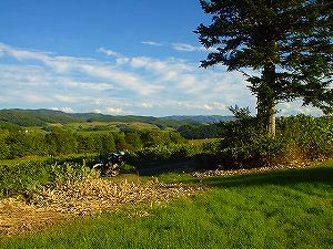 �ۗւ̑�ѓ�5�^ORR