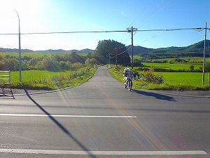 �ۗւ̑�ѓ�7�^ORR