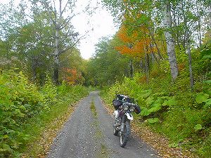 ������C��{����(���k��)2�^ORR