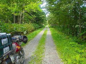 �L�y�ѓ�3�^ORR