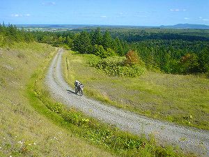 ���ʗѓ�3�^ORR