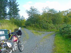 ���ʗѓ�4�^ORR