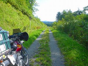 ���ʗѓ�5�^ORR