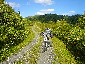 ���ʗѓ�6�^ORR