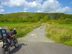 ���ʒ����ѓ�1�^ORR