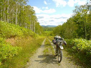 ���ʒ����ѓ�2�^ORR