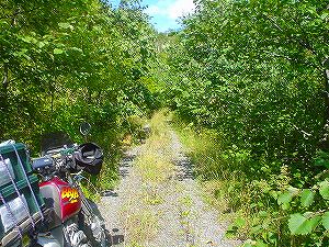 ���ʒ����ѓ�3�^ORR