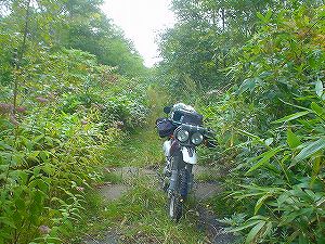 ���ʒ����ѓ�4�^ORR