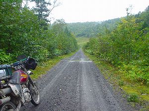 ����z�ѓ�3�^ORR