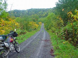 ����z�ѓ�5�^ORR