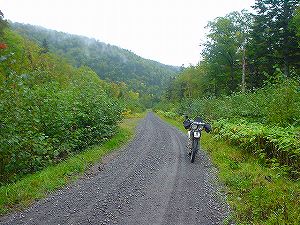 ����z�ѓ�6�^ORR