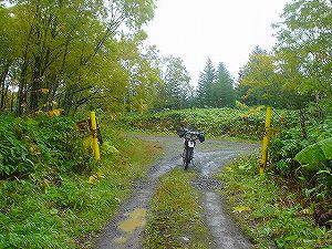 �����ѓ�1�^ORR