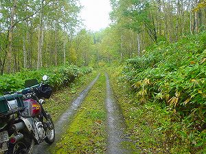 �����ѓ�2�^ORR