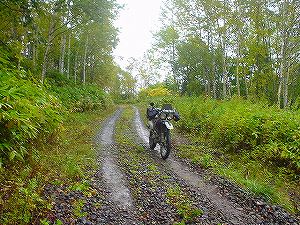 �����ѓ�3�^ORR