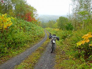 �����ѓ�4�^ORR