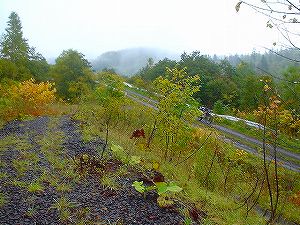 �����ѓ�6�^ORR