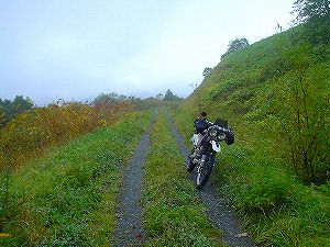 �P�g�x�c2���ѓ�2�^ORR