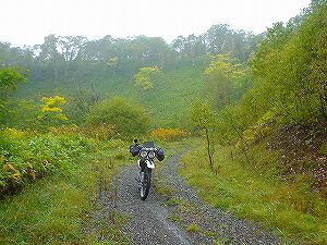 �P�g�x�c2���ѓ�3�^ORR