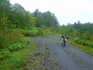 �P�g�x�c2���ѓ�5�^ORR