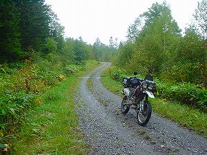 �P�g�x�c2���ѓ�6�^ORR