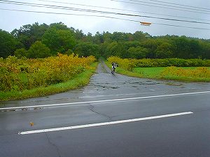 �P�g�x�c2���ѓ�7�^ORR