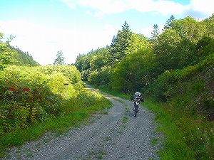 �L���ѓ�2�^ORR