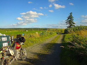 �L���ѓ�6�^ORR