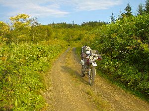 �y��̗ѓ�3�^ORR