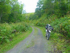 �y��̗ѓ�4�^ORR