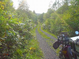 �y��̗ѓ�6�^ORR