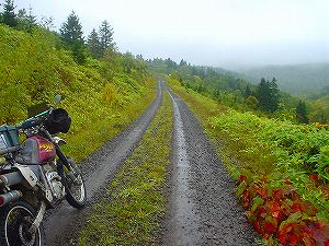 ��ȗѓ�3�^ORR