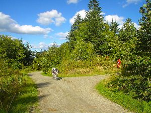 ����ѓ�1�^ORR