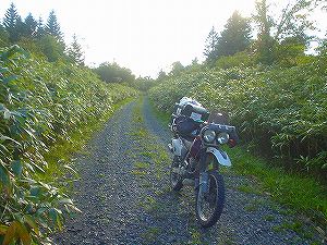 ����ѓ�3�^ORR