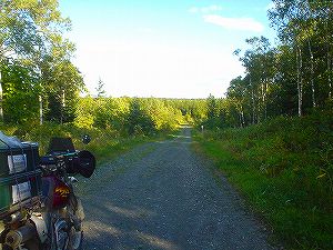 ����ѓ�4�^ORR