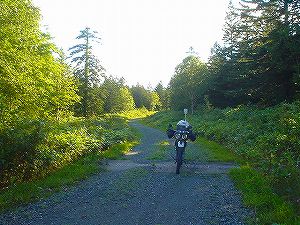 ����ѓ�5�^ORR