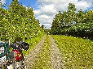 �k���ѓ�2�^ORR