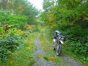 �J���O�ѕʗѓ�3�^ORR