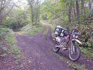 �J���O�ѕʗѓ�4�^ORR