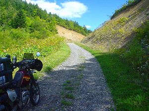 �F�z��2�^ORR