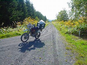 �����ѓ�2�^ORR