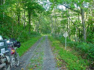 �����ѓ�5�^ORR